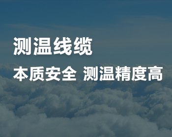 测温线缆安装简单，无电检测，是粮仓、煤棚等必不可少的温度监测工具 